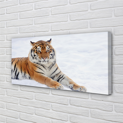 Quadro su tela Snow invernale di tigre