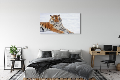 Quadro su tela Snow invernale di tigre