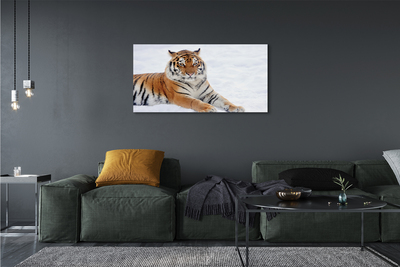 Quadro su tela Snow invernale di tigre