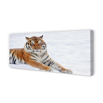 Quadro su tela Snow invernale di tigre