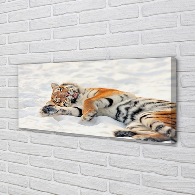 Quadro stampa su tela Snow invernale di tigre