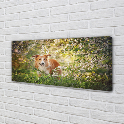 Quadro su tela Fiori della foresta per cani