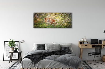 Quadro su tela Fiori della foresta per cani