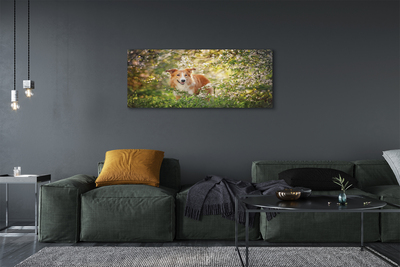 Quadro su tela Fiori della foresta per cani