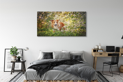 Quadro su tela Fiori della foresta per cani