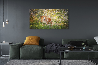 Quadro su tela Fiori della foresta per cani