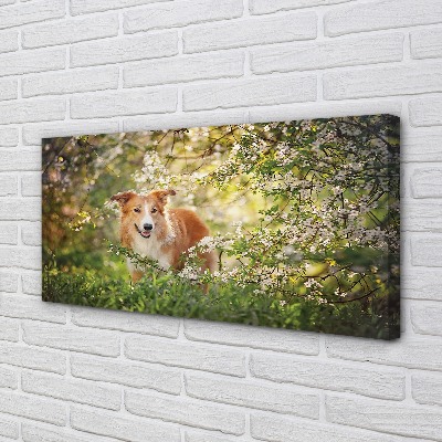 Quadro su tela Fiori della foresta per cani