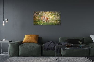 Quadro su tela Fiori della foresta per cani