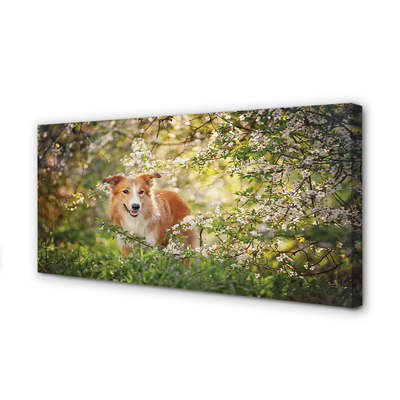 Quadro su tela Fiori della foresta per cani