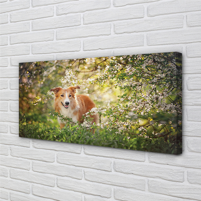 Quadro su tela Fiori della foresta per cani