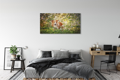 Quadro su tela Fiori della foresta per cani