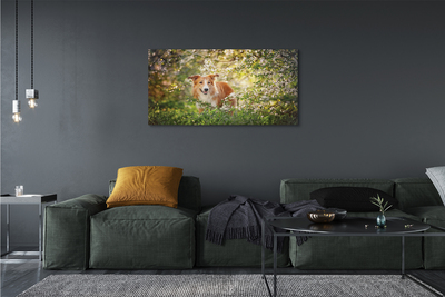 Quadro su tela Fiori della foresta per cani