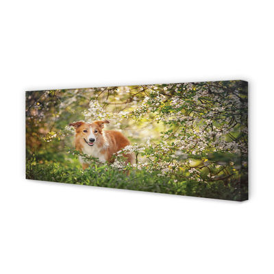 Quadro su tela Fiori della foresta per cani