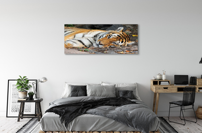 Quadro su tela Tigre bugiardo