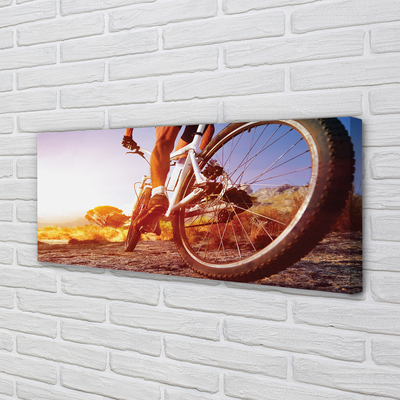 Quadro su tela Mountain Bike West