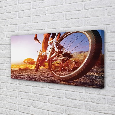 Quadro su tela Mountain Bike West