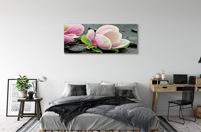 Quadro su tela Pietre magnolia