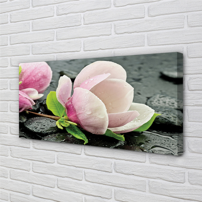 Quadro su tela Pietre magnolia