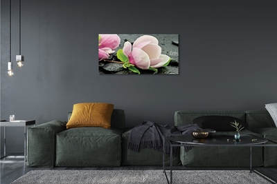 Quadro su tela Pietre magnolia