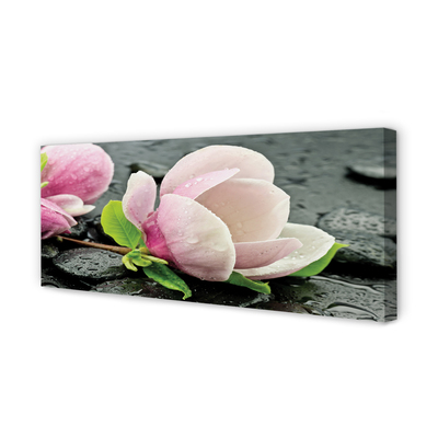 Quadro su tela Pietre magnolia