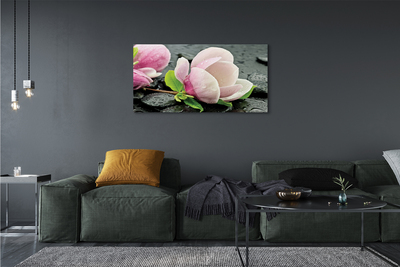 Quadro su tela Pietre magnolia