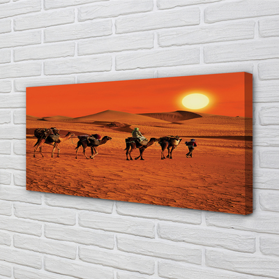 Foto quadro su tela Cammelli persone desertici del sole cielo