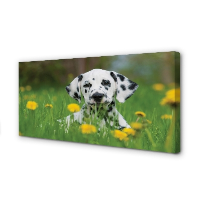 Quadro su tela Dog Meadow