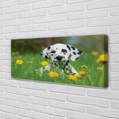 Quadro su tela Dog Meadow