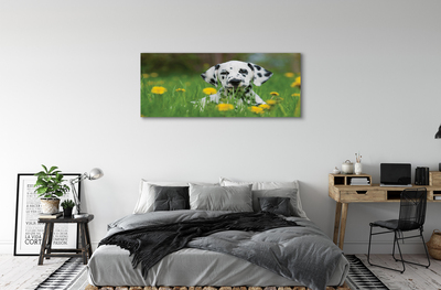 Quadro su tela Dog Meadow