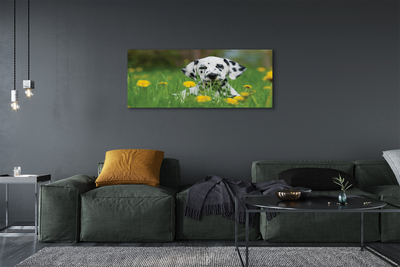 Quadro su tela Dog Meadow