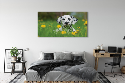 Quadro su tela Dog Meadow