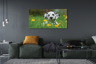 Quadro su tela Dog Meadow