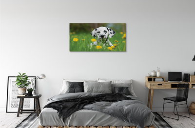 Quadro su tela Dog Meadow