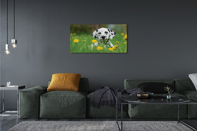 Quadro su tela Dog Meadow