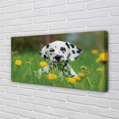 Quadro su tela Dog Meadow