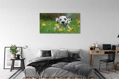 Quadro su tela Dog Meadow