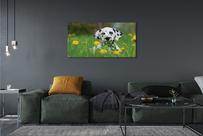 Quadro su tela Dog Meadow