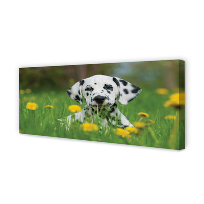 Quadro su tela Dog Meadow