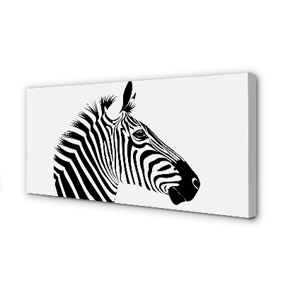 Quadro su tela Illustrazione zebra