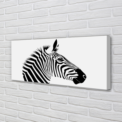 Quadro su tela Illustrazione zebra