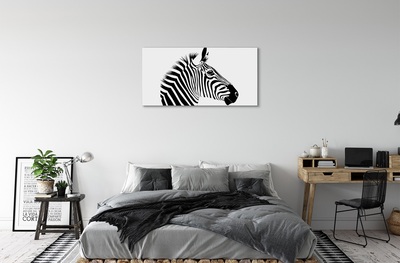 Quadro su tela Illustrazione zebra