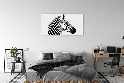 Quadro su tela Illustrazione zebra