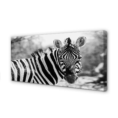 Quadro su tela Zebra retrò