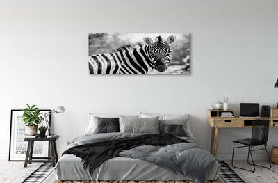 Quadro su tela Zebra retrò