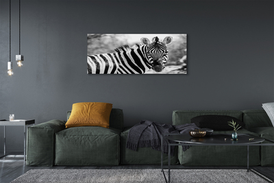 Quadro su tela Zebra retrò