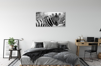 Quadro su tela Zebra retrò