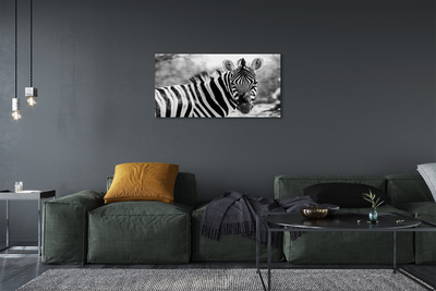 Quadro su tela Zebra retrò