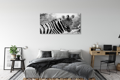 Quadro su tela Zebra retrò