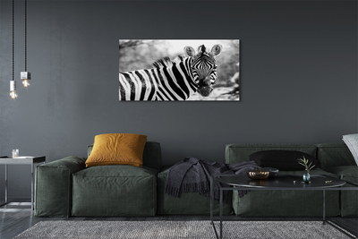 Quadro su tela Zebra retrò