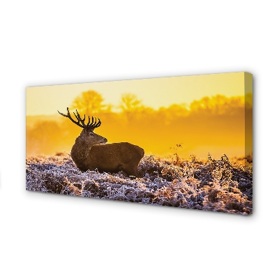 Quadro su tela Deer Winter Sunrise